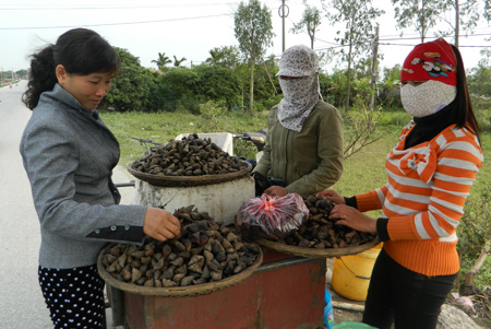 Quà quê ngọt bùi